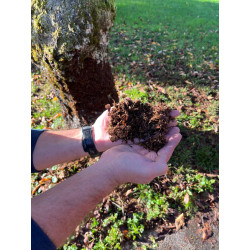 Broyeur de branches et de feuilles 7CV