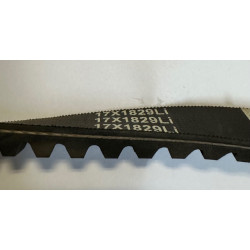 Courroie pour broyeur AGRIFORCE BA15P